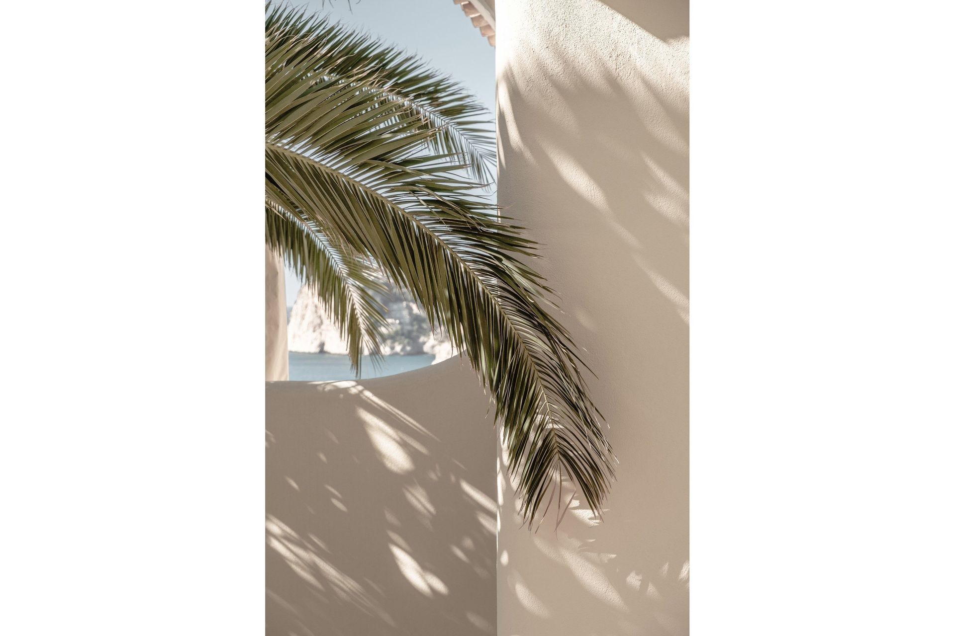 Poster Palmleaf 30x40 cm - Beige