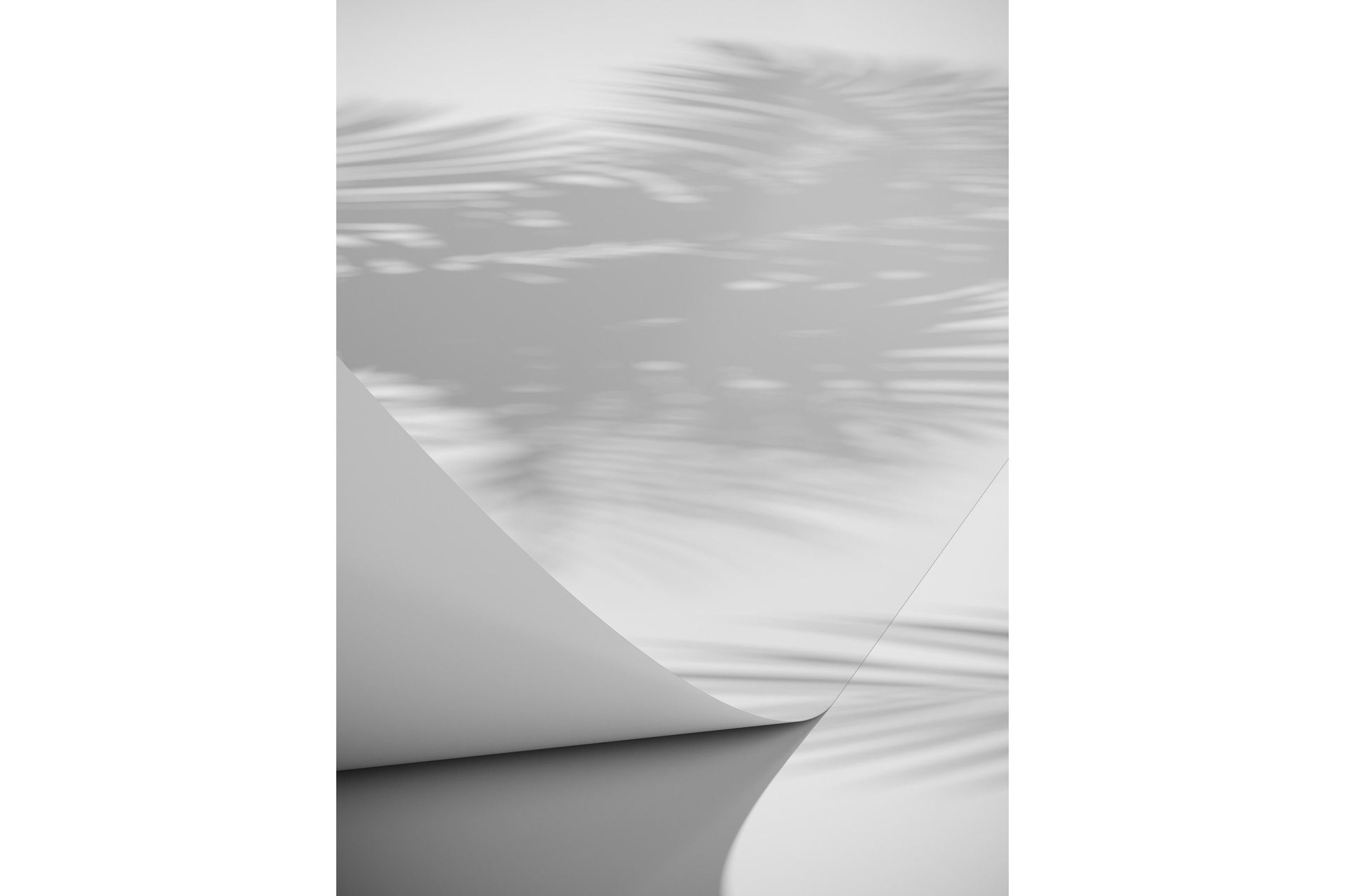 Poster Papyrus 30x40 cm - Hvid