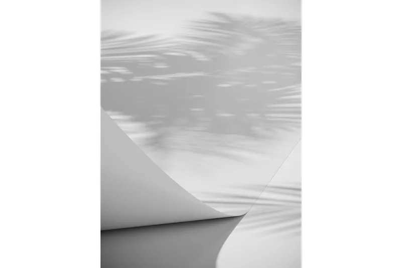 Poster Papyrus 70x100 cm, Hvid