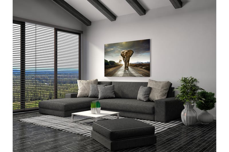 Tavla Elephant - 80x120 cm - Bilder & kunst