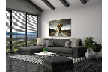 Tavla Elephant - 80x120 cm - Innredning - Bilder & kunst