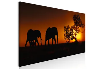 Tavla Elephant Family (Orange) 135x45 - Innredning - Bilder & kunst - Lerretsbilder