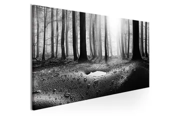 Tavla Forest after Rain (1 Part) Narrow 135x45 - Innredning - Bilder & kunst - Lerretsbilder