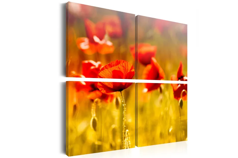 Tavle Sommer 60X60 - Artgeist sp. z o. o. - Innredning - Bilder & kunst - Lerretsbilder