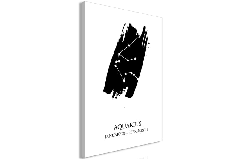 Tavle Zodiac Signs: Aquarius (1 Part) Vertical 40X60 - Artgeist sp. z o. o. - Innredning - Bilder & kunst - Lerretsbilder