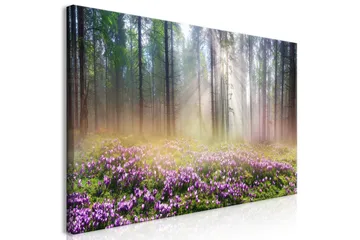 Tavle Purple Meadow (1 Part) Wide 120X60 - Artgeist sp. z o. o. - Innredning - Bilder & kunst - Lerretsbilder