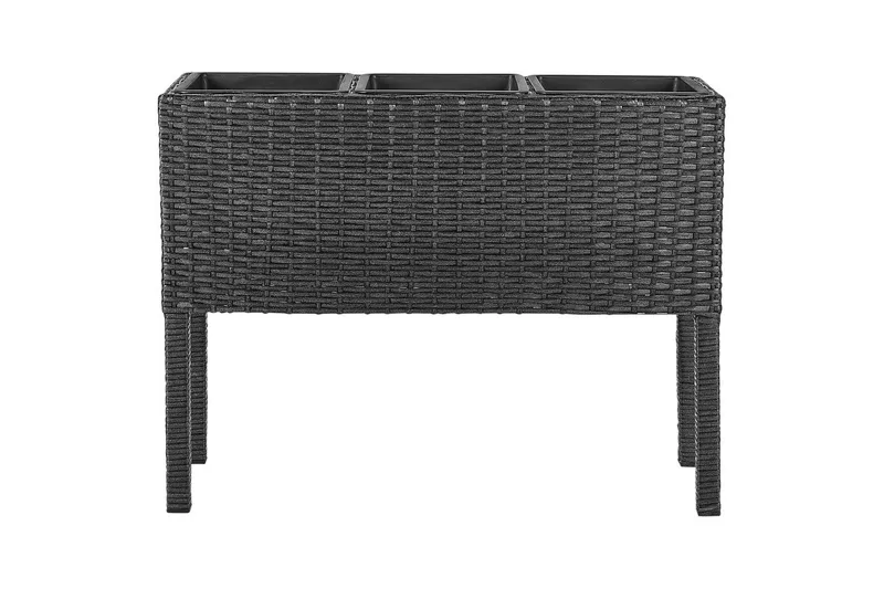 Inomhuskruka Beliani Caragana Brun Black, undefined