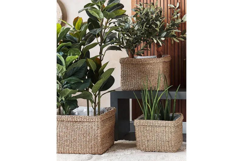 Inomhuskruka Beliani Rivuline set om 3 Nature||Beige - Innredning - Krukker