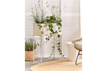 Inomhuskruka Beliani Tapien Beige Beige - Innredning - Krukker