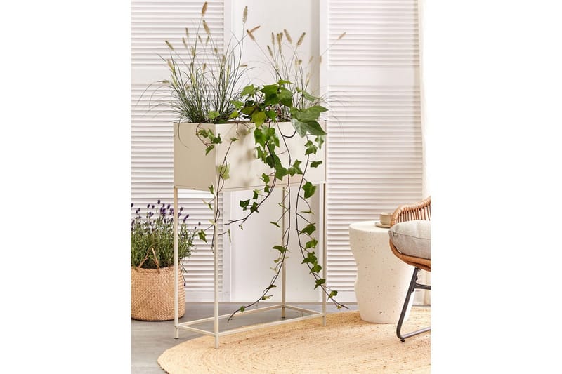 Inomhuskruka Beliani Tapien Beige Beige - Innredning - Krukker