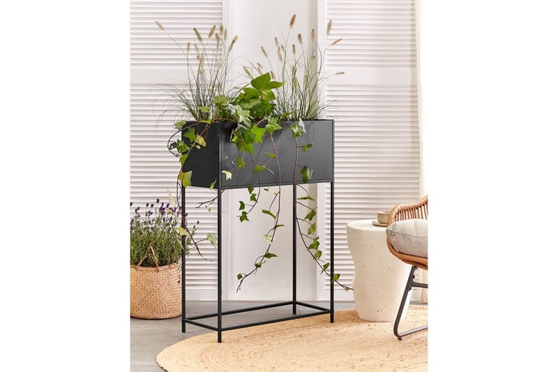 Inomhuskruka Beliani Tapien Beige Black - Innredning - Krukker