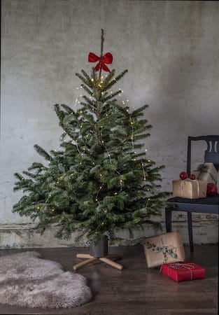 Granig juletrefot 45 cm - muldvarpfarget og naturtre - Innredning - Julepynt & helgedekorasjon - Julepynt & juledekorasjon
