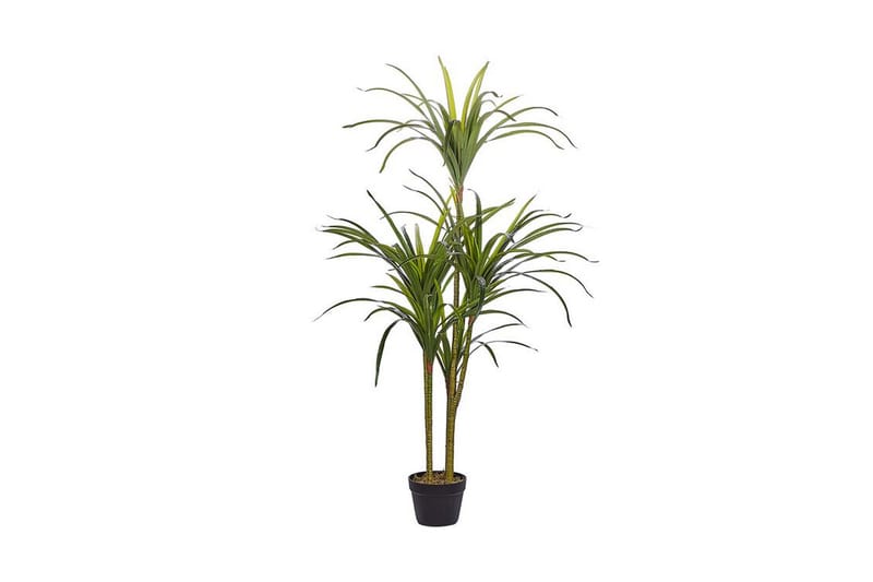 Berden Kunstig potteplante 147 cm Dracaena anita - Grønn - Balkongblomster - Kunstige planter