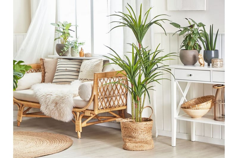 Berden Kunstig potteplante 147 cm Dracaena anita - Grønn - Balkongblomster - Kunstige planter