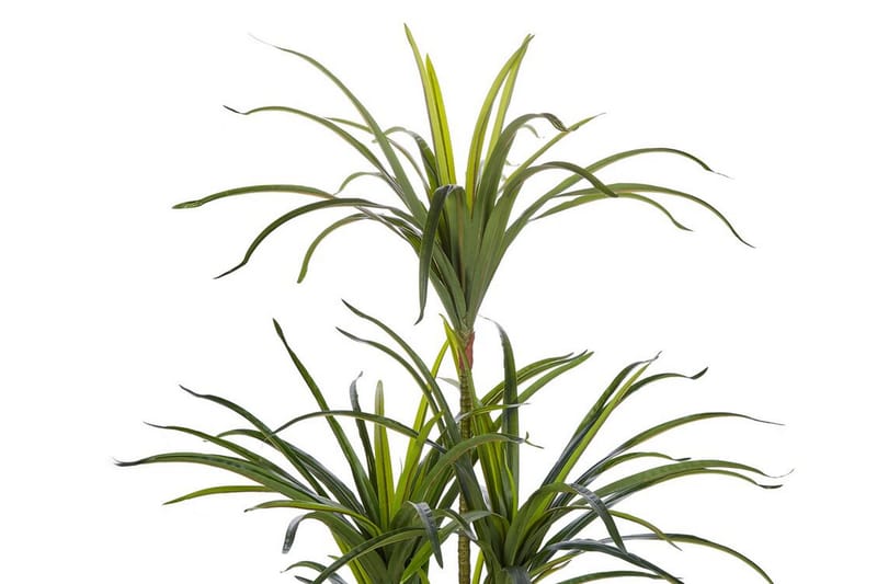 Berden Kunstig potteplante 147 cm Dracaena anita - Grønn - Balkongblomster - Kunstige planter