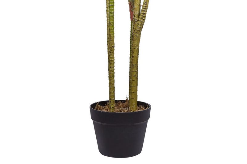 Berden Kunstig potteplante 147 cm Dracaena anita - Grønn - Balkongblomster - Kunstige planter