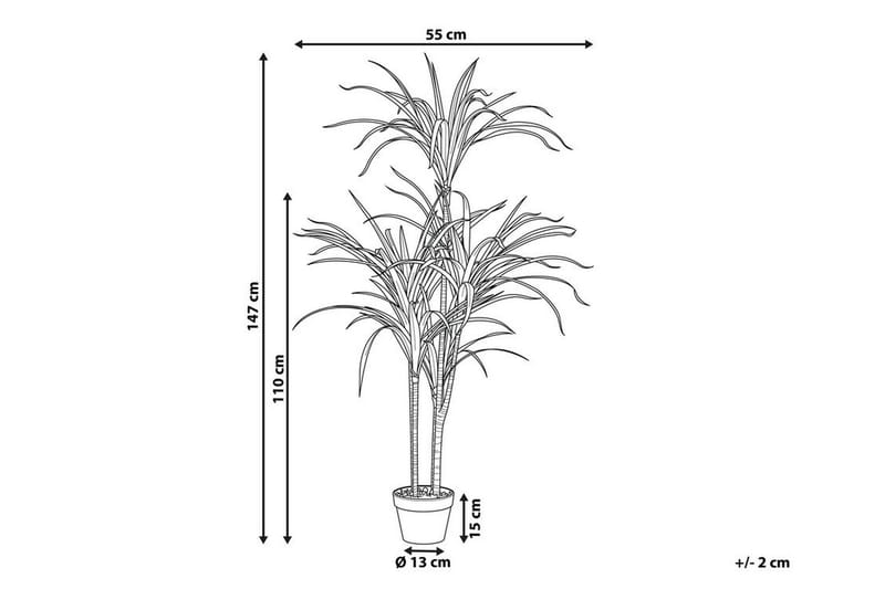 Berden Kunstig potteplante 147 cm Dracaena anita - Grønn - Balkongblomster - Kunstige planter