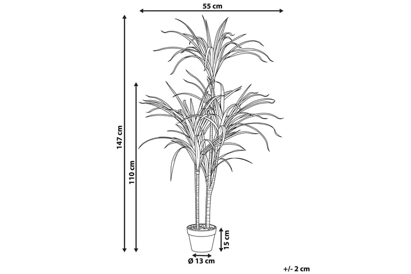 Berden Kunstig potteplante 147 cm Dracaena anita - Grønn - Balkongblomster - Kunstige planter