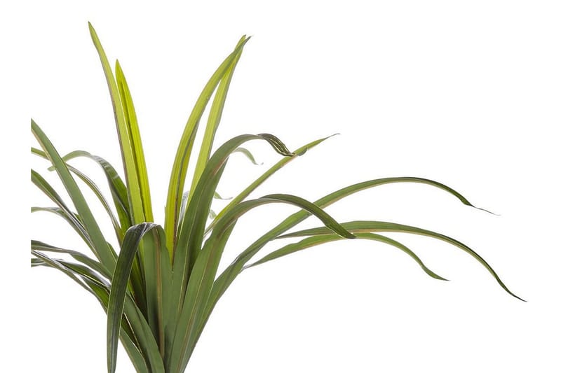 Berden Kunstig potteplante 147 cm Dracaena anita - Grønn - Innredning - Kunstige planter