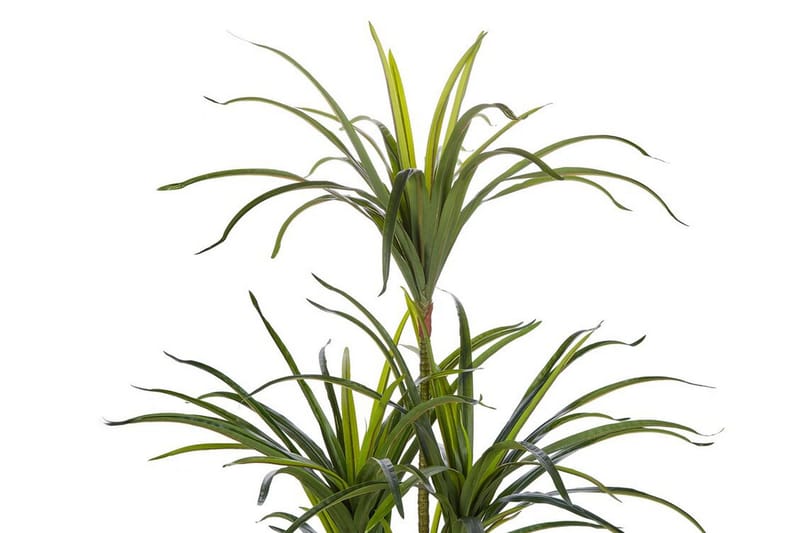 Berden Kunstig potteplante 147 cm Dracaena anita - Grønn - Innredning - Kunstige planter