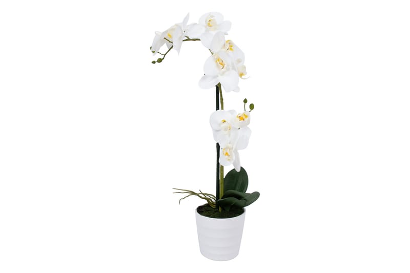 Hvit Orkidea 51 cm på Hvit Krukke - Balkongblomster - Kunstige planter