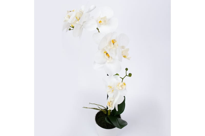 Hvit Orkidea 51 cm på Hvit Krukke - Innredning - Kunstige planter