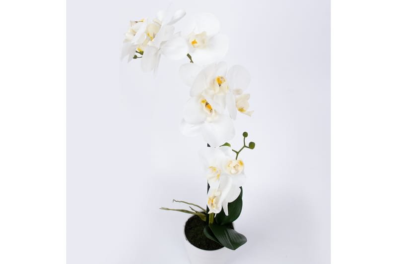 Hvit Orkidea 51 cm på Hvit Krukke - Balkongblomster - Kunstige planter