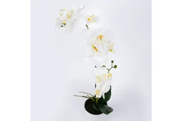 Hvit Orkidea 51 cm på Hvit Krukke - Innredning - Kunstige planter