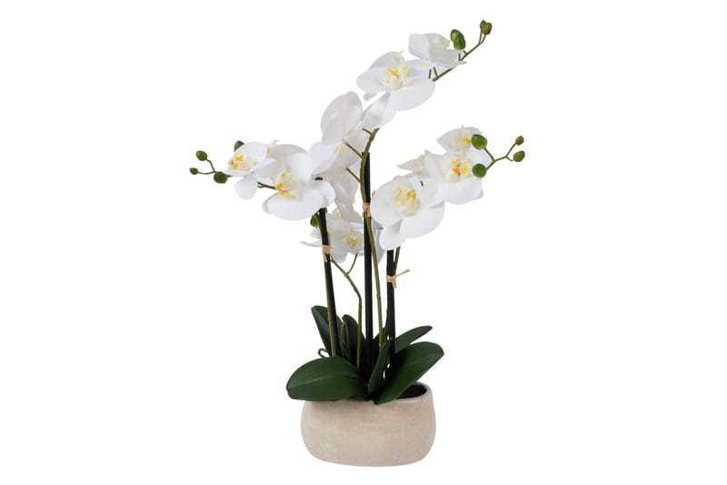In Garden Kunstig Plante Orkide Hvit - Innredning - Kunstige planter