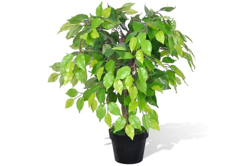 Kunstig dvergfiken med potte 60 cm - Innredning - Kunstige planter