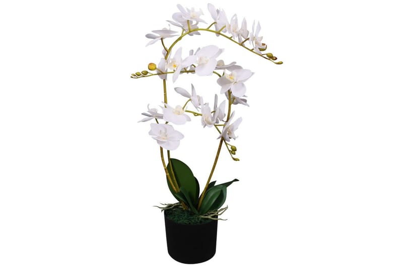 Kunstig orkidÃ¨ med potte 65 cm hvit - Balkongblomster - Kunstige planter