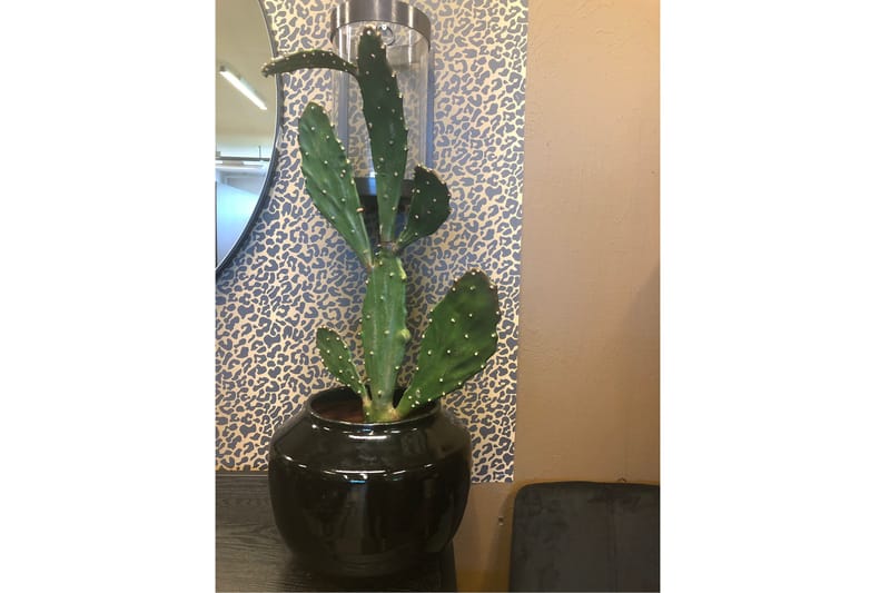 Piscode Kunstig Plante Kaktus - Grønn - Balkongblomster - Kunstige planter