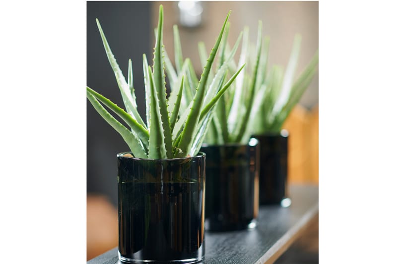 Piscode Kunstig Plante Aloevera 47 cm - Grønn - Balkongblomster - Kunstige planter