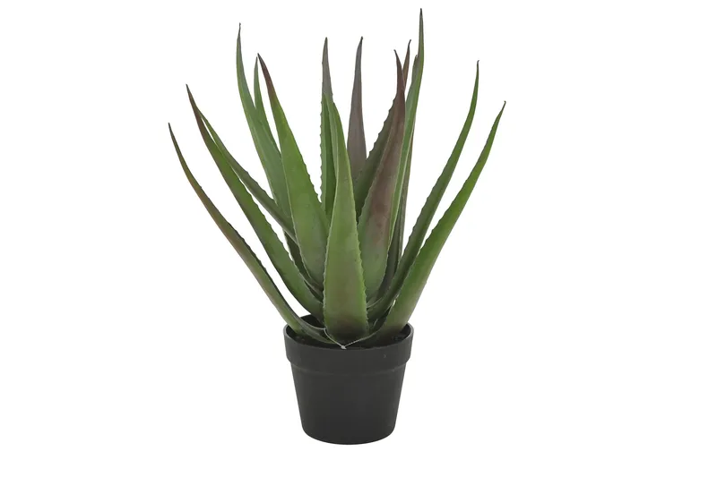 Piscode Kunstig Plante Aloevera 50 cm, Grønn