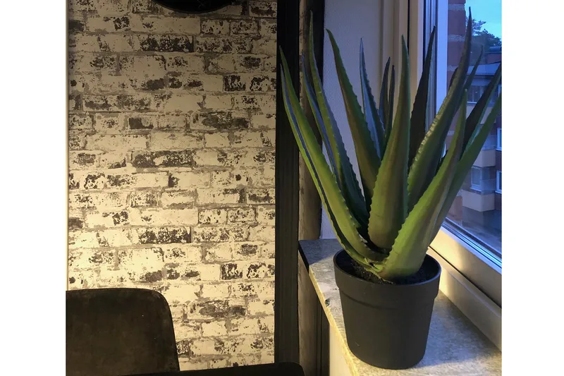 Piscode Kunstig Plante Aloevera 50 cm - Grønn - Innredning - Kunstige planter
