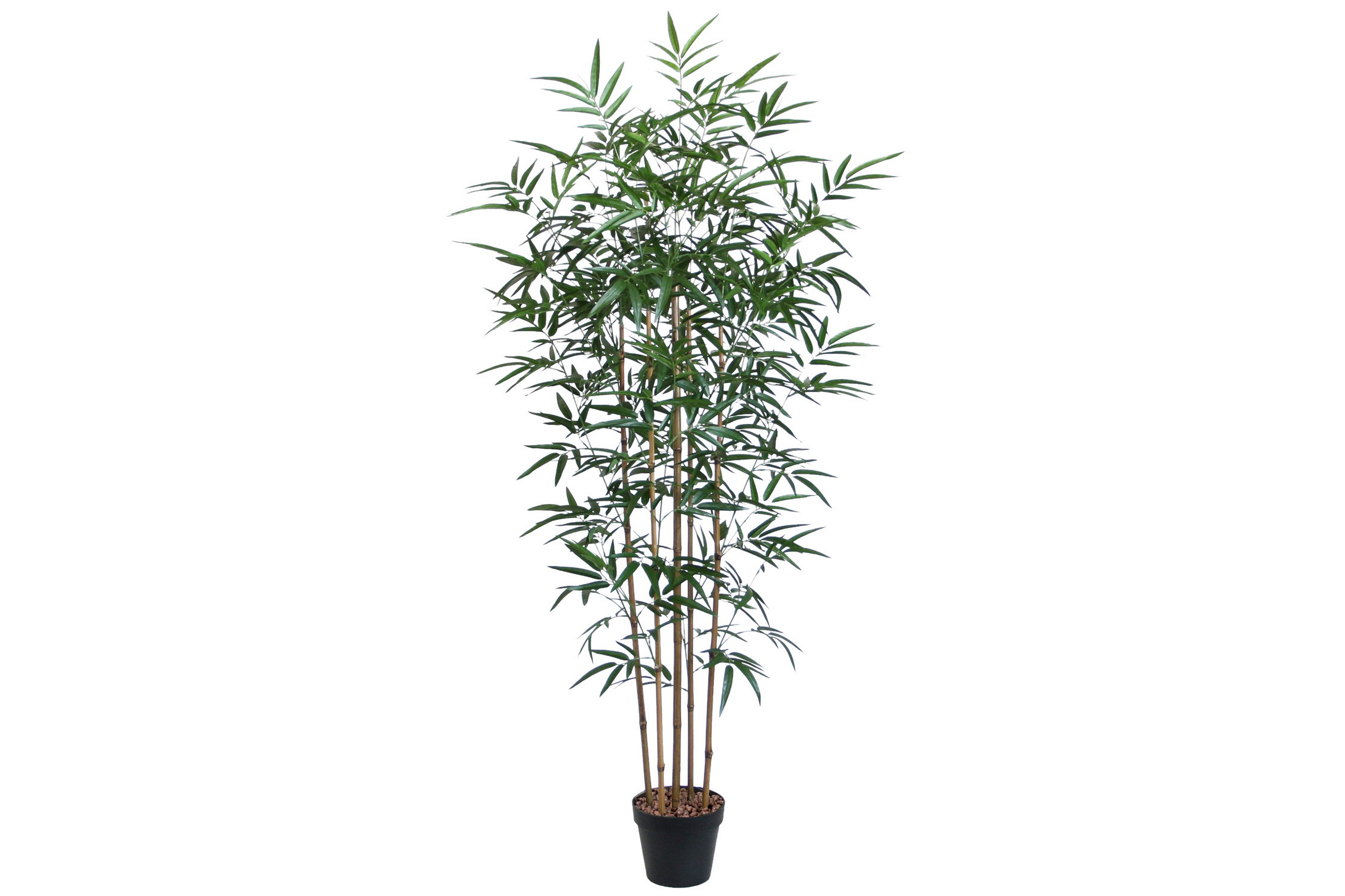 Plante BAMBOO H150cm med Potte -