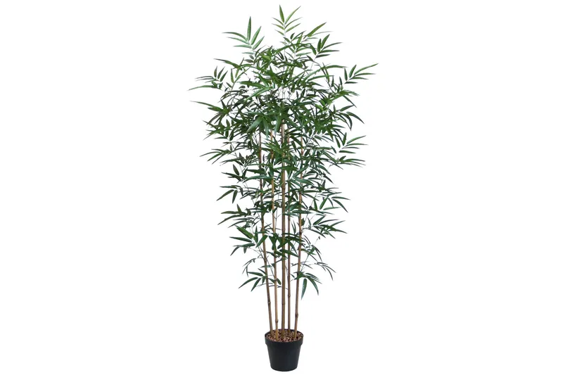 Plante BAMBOO H150cm med Potte, undefined