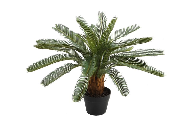 Plante CYCAS H70cm Med potte - Balkongblomster - Kunstige planter