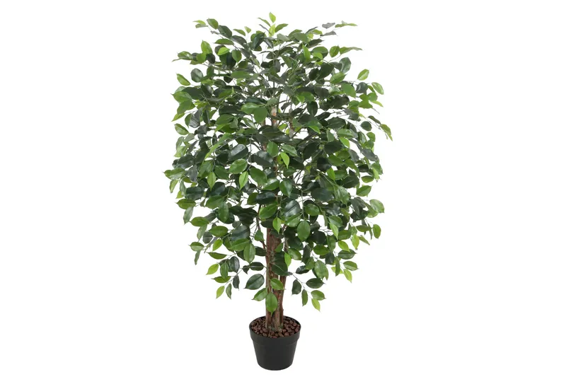 Plante FICUS H120cm med potte, undefined