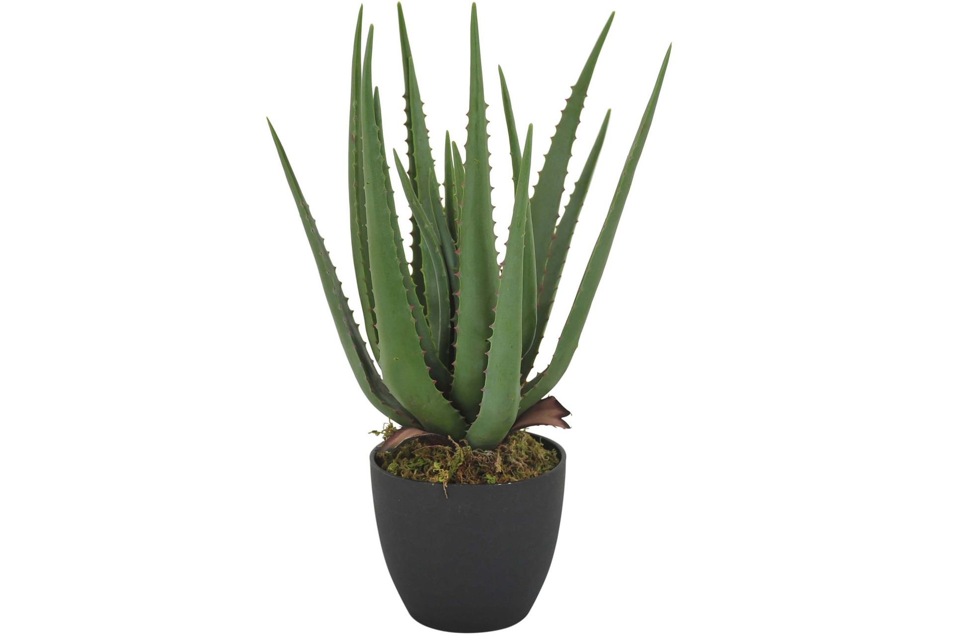 Verde Kunstplante Alovera - Innredning - Kunstige planter