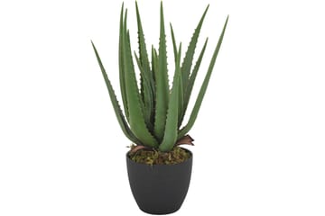 Verde Kunstplante Alovera - Innredning - Kunstige planter