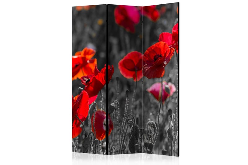 Kadira Romdeler 135x172 - Artgeist sp. z o. o. - Innredning - Romdelere - Skjermvegg