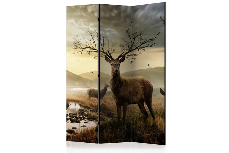 Kadira Romdeler 135x172 - Artgeist sp. z o. o. - Innredning - Romdelere - Bretteskjerm