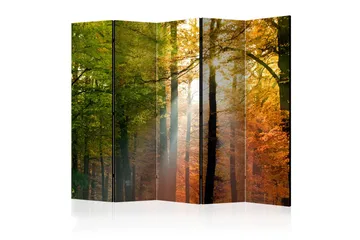Kadira Romdeler 225x172 - Artgeist sp. z o. o. - Innredning - Romdelere - Bretteskjerm
