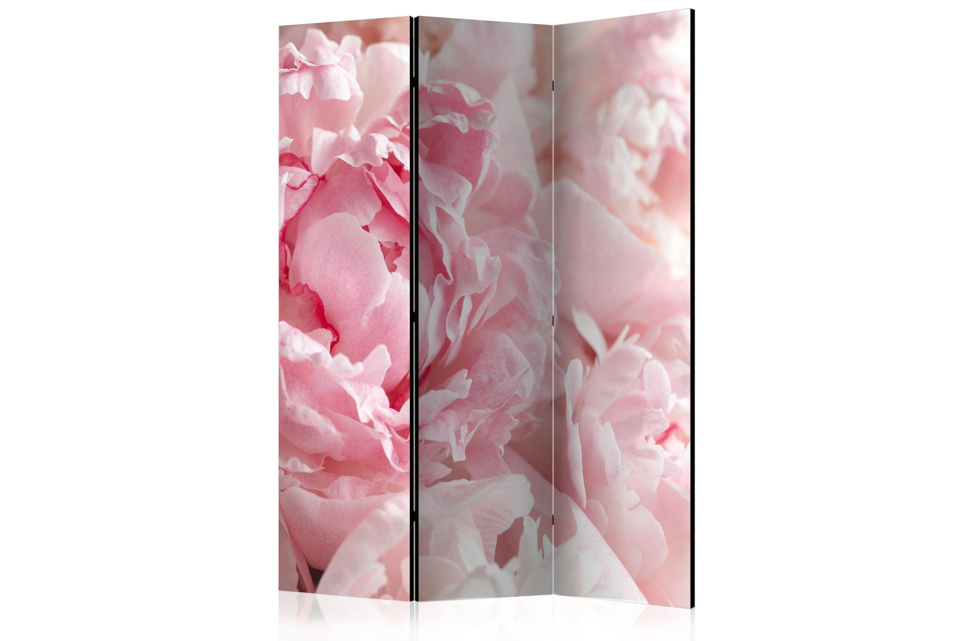 Kadira Rumsavdelare 135x172 cm VALUE_MISSING_1 -