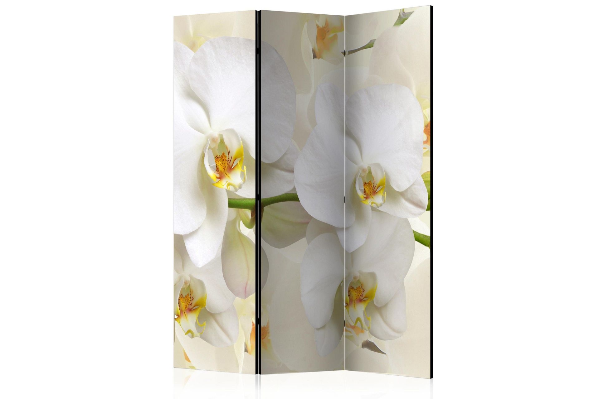 Kadira Rumsavdelare 135x172 cm VALUE_MISSING_1 -