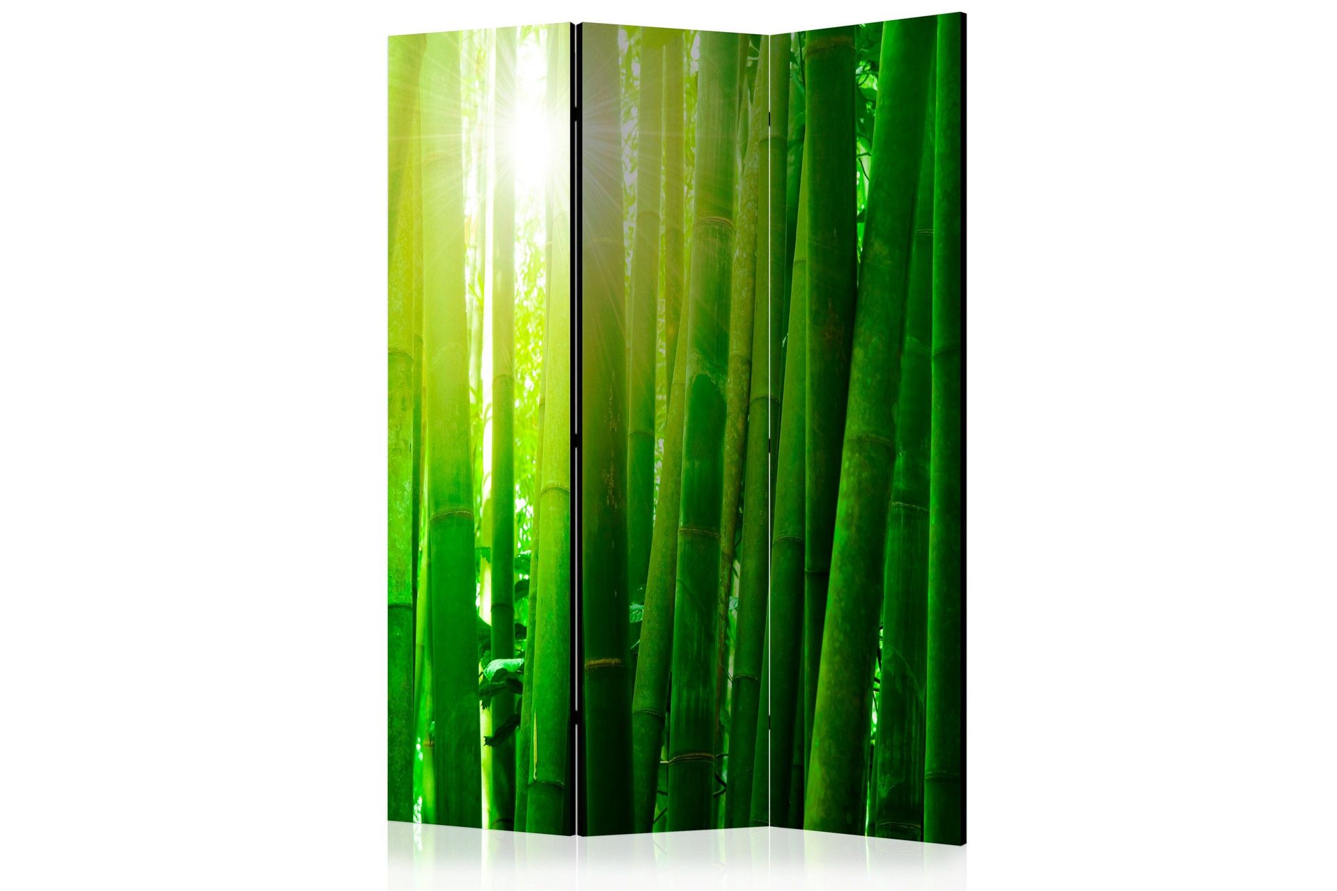 Kadira Rumsavdelare 135x172 cm VALUE_MISSING_1 -
