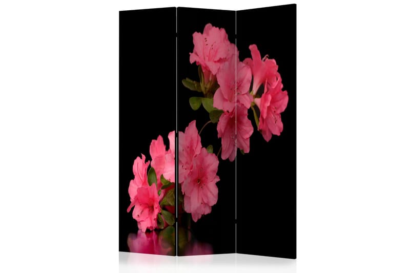 Kadira Rumsavdelare 135x172 cm VALUE_MISSING_1, undefined