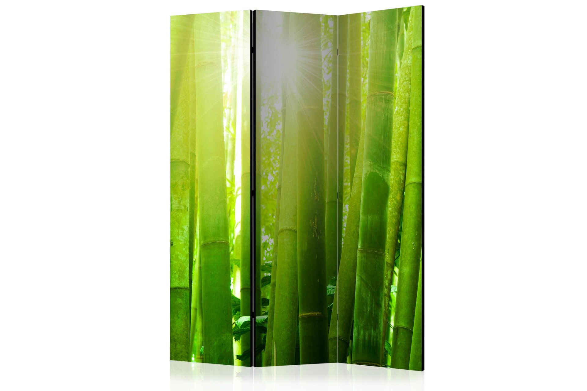 Kadira Rumsavdelare 135x172 cm VALUE_MISSING_1 -