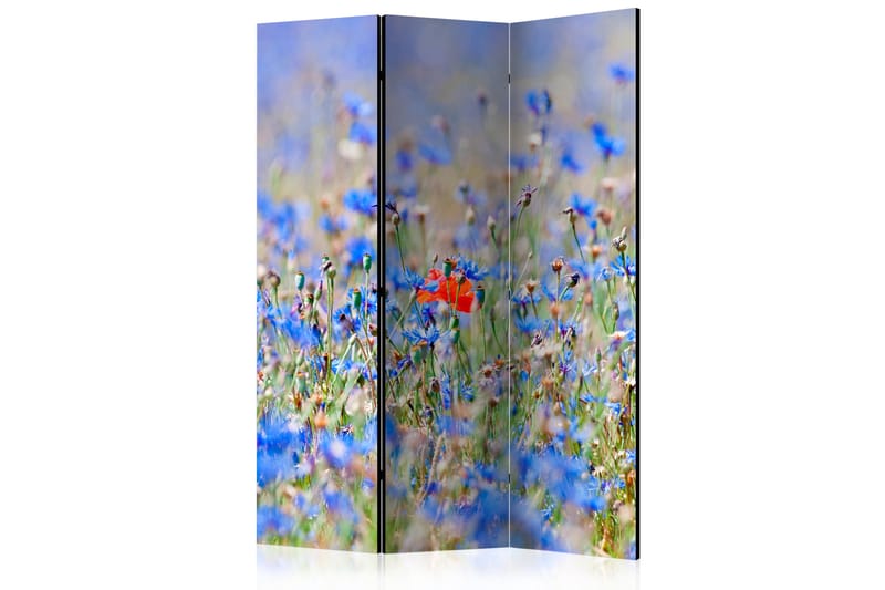 Romdeler A Sky-Colored Meadow - Cornflowers - Artgeist sp. z o. o. - Innredning - Romdelere - Bretteskjerm